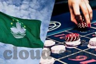 星空体育公园合肥-星空下的璀璨梦想，合肥体育公园的活力篇章